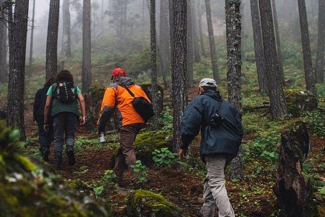 La Pirámide Park // WALK AND DISCOVER THE PARK - What to Expect on the Tour
