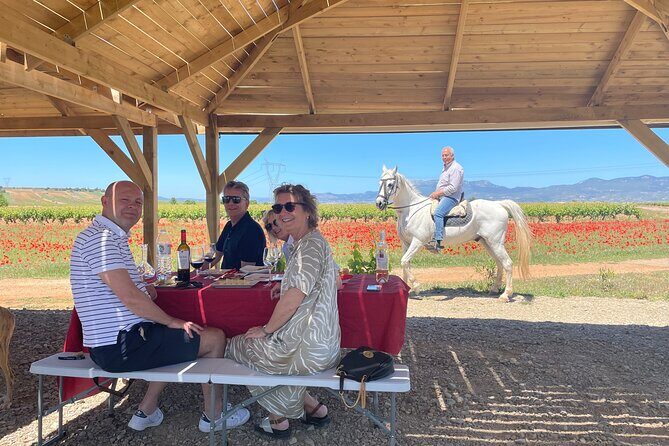La Rioja Boutique Wine Tour & Charming Lunch (From Bilbao) - An Introduction to the Rioja Experience