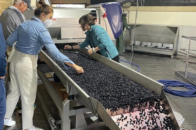 La Rioja Boutique Wine Tour & Charming Lunch (From Bilbao) - What the Reviews Say