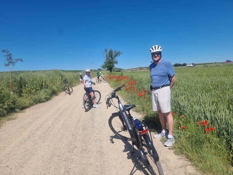 La Rioja: Guided Bike Tour - An Overview of the La Rioja Guided Bike Tour