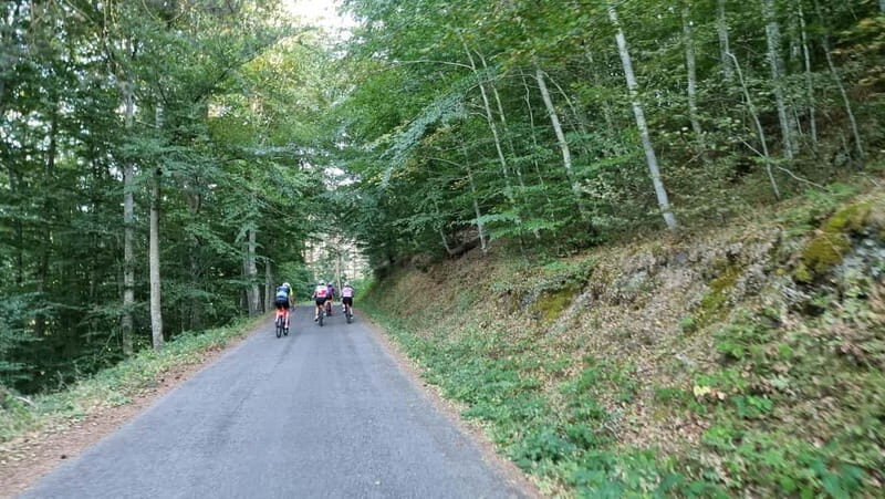 La Rioja: Guided Bike Tour - The Sum Up