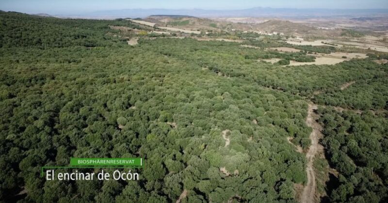 La Rioja: Organic Farm Tour & Spanish Ham Tasting with Wine - Key Points