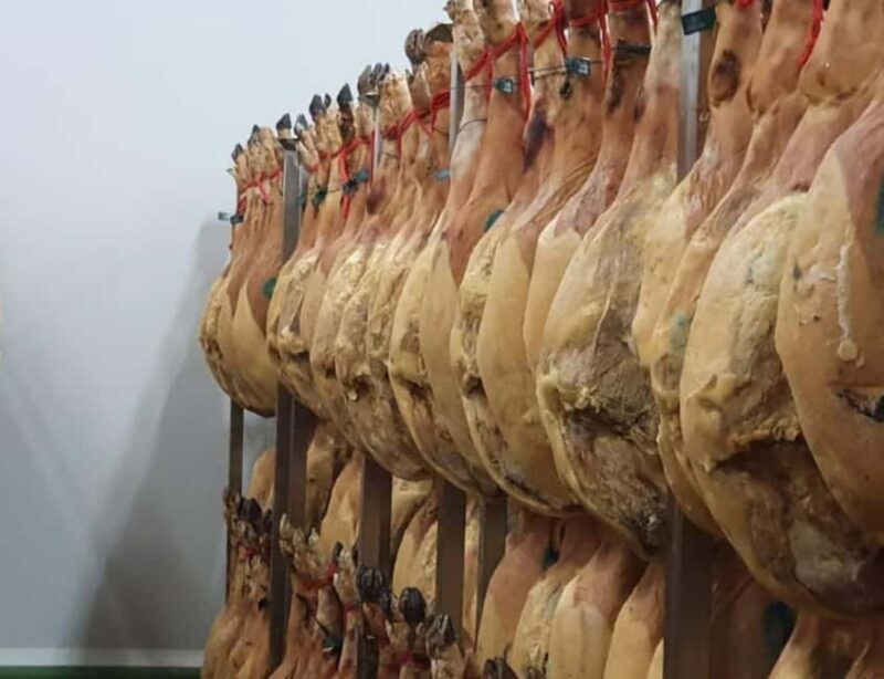 La Rioja: Organic Farm Tour & Spanish Ham Tasting with Wine - Is It Worth the Cost?