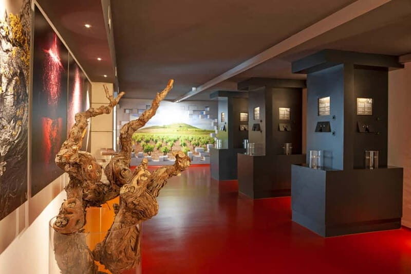 La Rioja: Sensory Experience With Wine Tasting - Exploring La Rioja’s Sensory Journey with Bodegas Riojanas