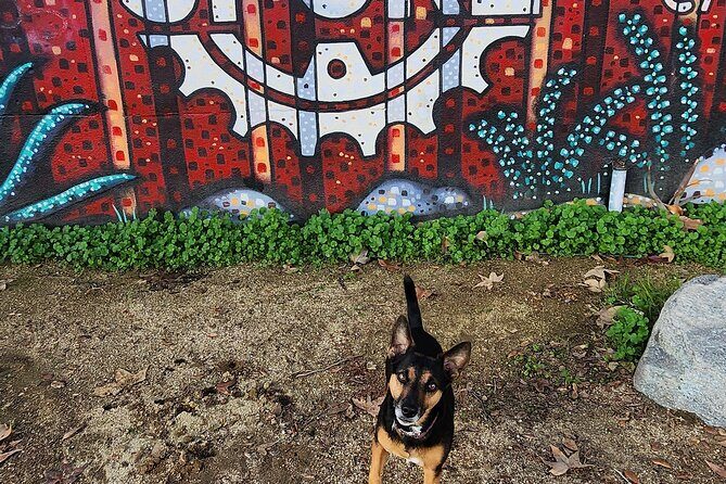 LA River Eco Tour and Secret Stair Hike - The Itinerary: What You Can Expect