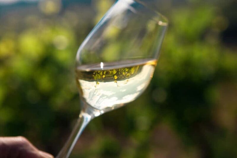 La Roche Vineuse: Visit the Vine and Wine Museum - Exploring Château de la Greffière: A Detailed Look at the Wine & Museum Experience in Bourgogne