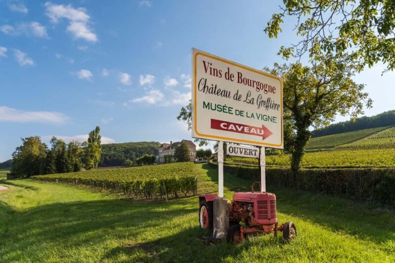 La Roche Vineuse: Visit the Vine and Wine Museum - An In-Depth Look at the Château de la Greffière Experience
