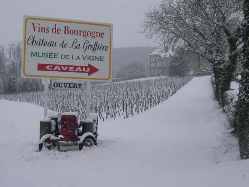 La Roche Vineuse: Visit the Vine and Wine Museum - FAQ