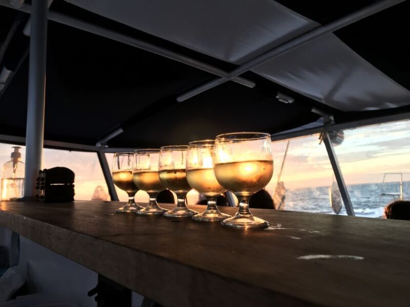 La Rochelle: Catamaran Cruise - An Honest Look at the Catamaran Cruise Experience