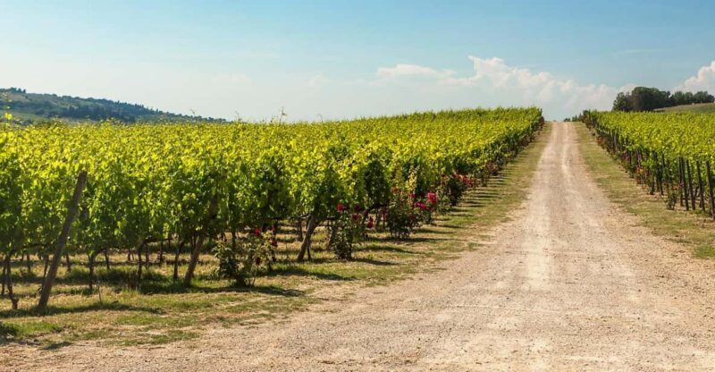 La Sala del Torriano Wine Experience - Key Points