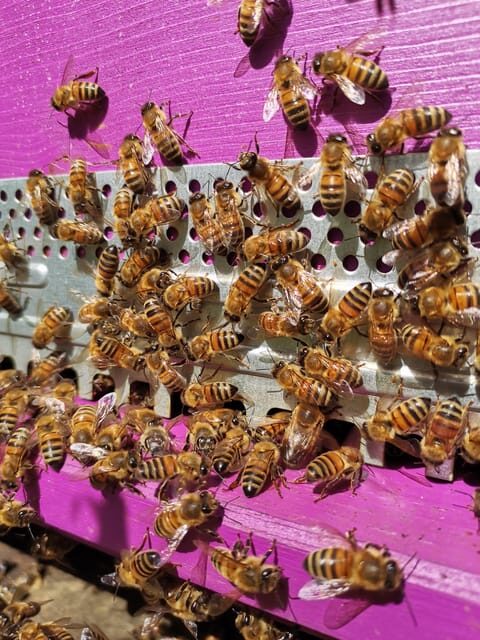 La Sala del Torriano Wine Experience - Final Thoughts