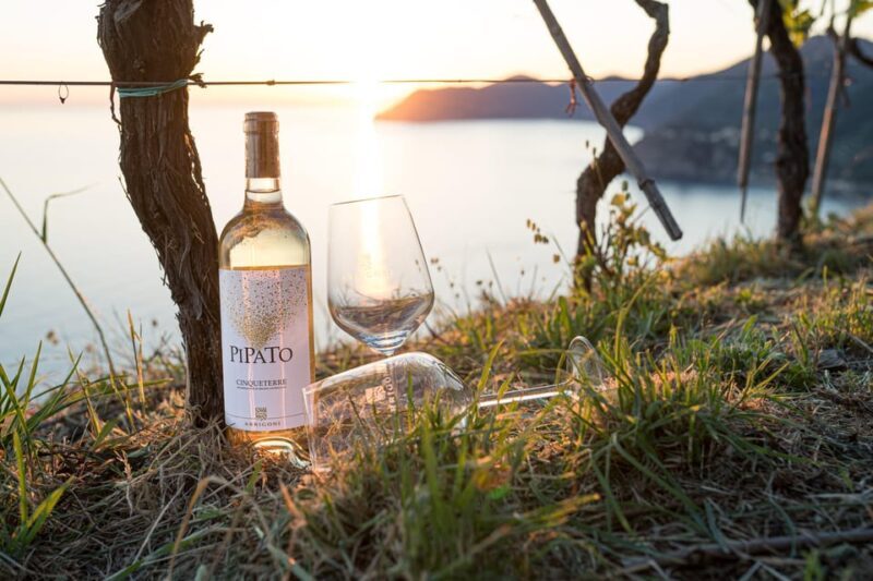 La Spezia: 4 Wines GOLD Degustation - Exploring the La Spezia: 4 Wines GOLD Degustation – A Practical Look