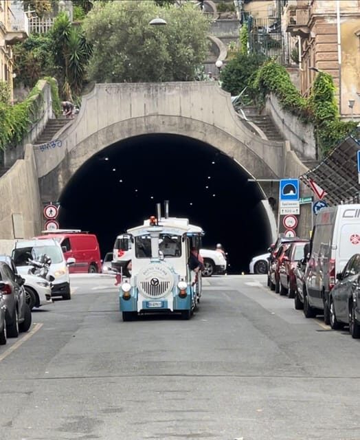 La Spezia: tour HOP ON HOP OFF con trenino e guida turistica - Who Should Consider This Tour?