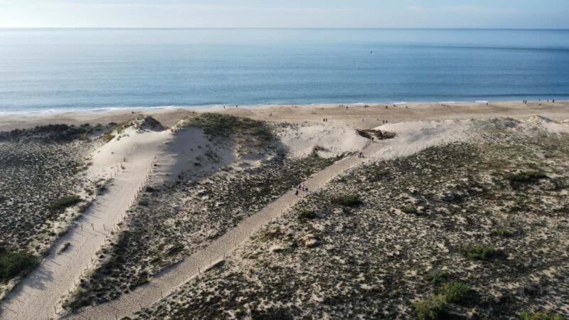 La Tremblade: Hiking in the Forêt Domaniale de la Coubre - Key Points