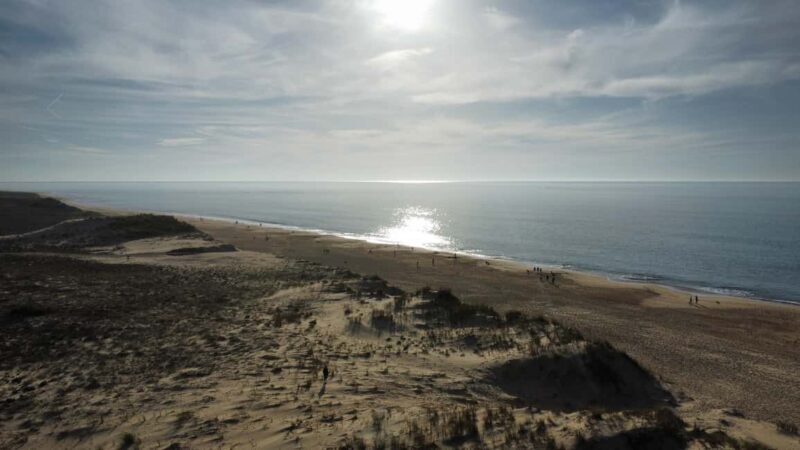 La Tremblade: Hiking in the Forêt Domaniale de la Coubre - The Guided Walk