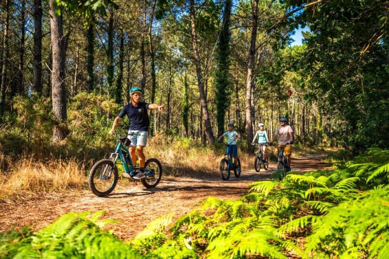 Labenne: guided forest tour with an instructor on an electric scooter - An In-Depth Look at the Labenne Electric Scooter Forest Tour