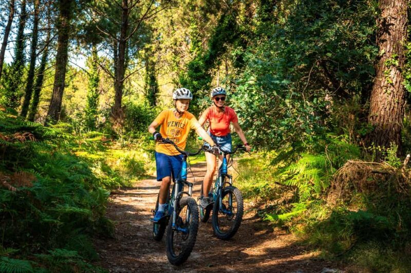 Labenne: guided forest tour with an instructor on an electric scooter - Who Will Love This Tour?