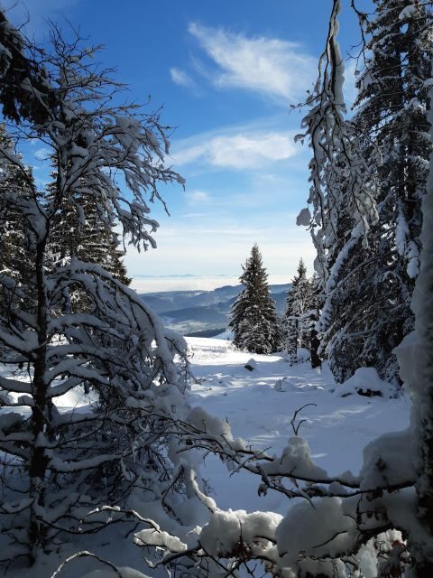 Lac Blanc: Snow Day Trip - Who Should Consider This Tour?