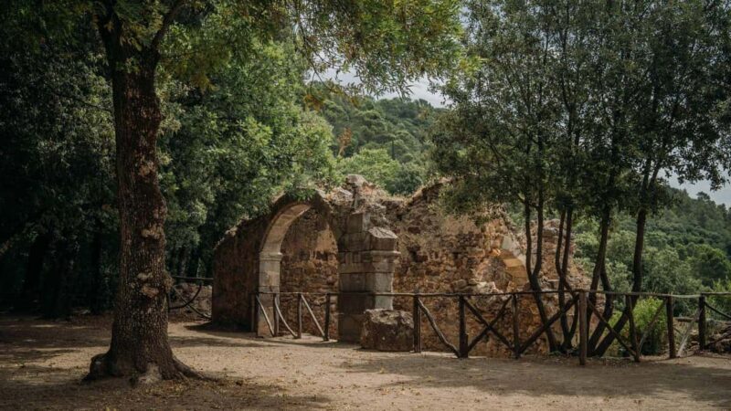 Laconi: guided tour discovering the village - Discovering Sacred Art and Local Heritage