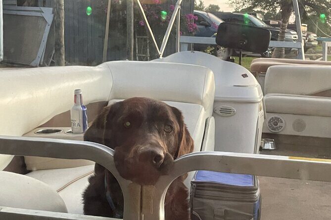 Ladies Luncheon Pontoon Tour (Gentleman welcome) - The Sum Up