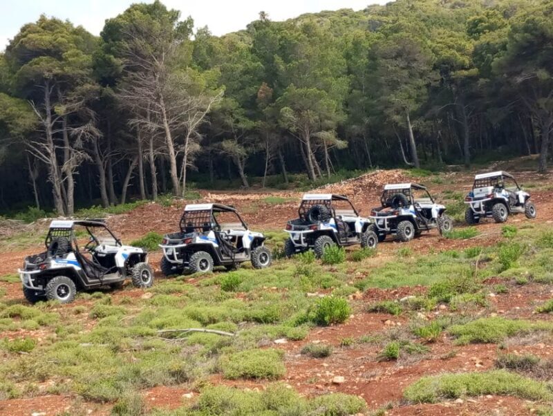 Laganas: Off-Road Buggy Adventure in Zakynthos with Lunch - Final Thoughts