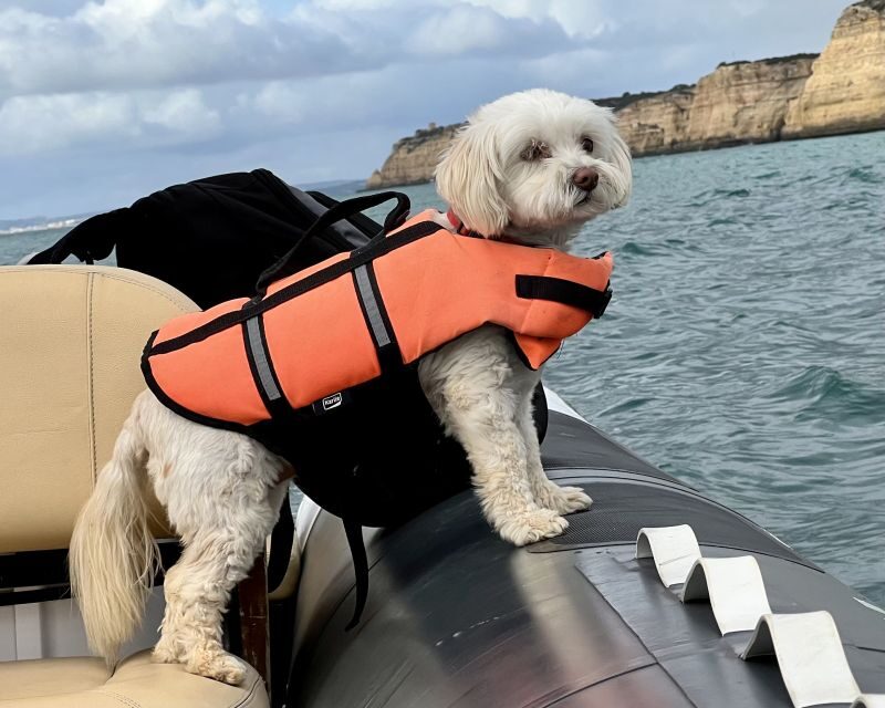 Lagoa: Benagil Caves & Praia da Marinha with biologist guide - Frequently Asked Questions