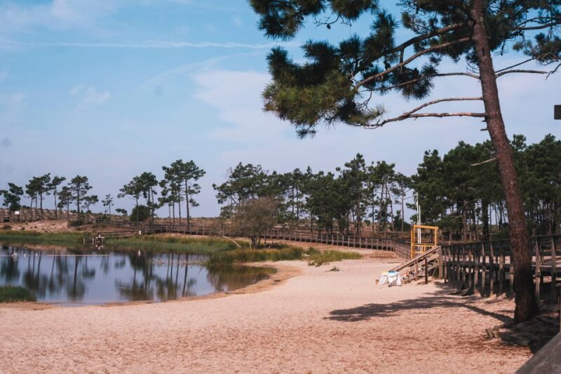 Lagoa da Ervedeira E-bike and Stand Up Paddle tour - Key Points