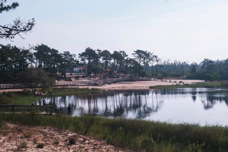 Lagoa da Ervedeira E-bike and Stand Up Paddle tour - What Past Participants Say