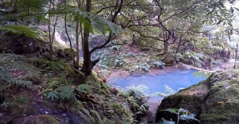 Lagoa do Fogo: Biologist-guided Volcano Geo Tour +Hotsprings - Cost and Value