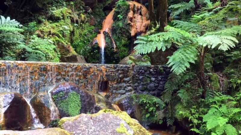 Lagoa do Fogo: Biologist-guided Volcano Geo Tour +Hotsprings - FAQ