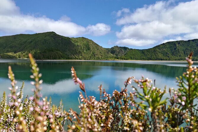 Lagoa do Fogo Walking Tour with Lunch from Ponta Delgada - What to Expect from the Lagoa do Fogo Walking Tour