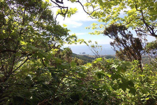 Lagoa do Fogo Walking Tour with Lunch from Ponta Delgada - Practical Details and Considerations