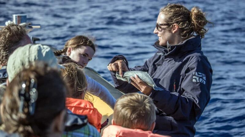 Lagoa do Fogo: Whales & Volcano Geo Tour w/ Biologist +lunch - Key Points