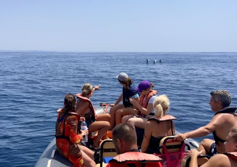 Lagoa: Dolphin Watching & Benagil Tour with Biologist Guide - Exploring the Experience