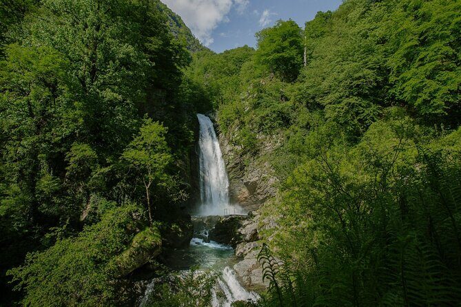 Lagodekhi - A day hiking from Tbilisi - Exploring a Day in the Wilderness: Lagodekhi Hiking Tour from Tbilisi