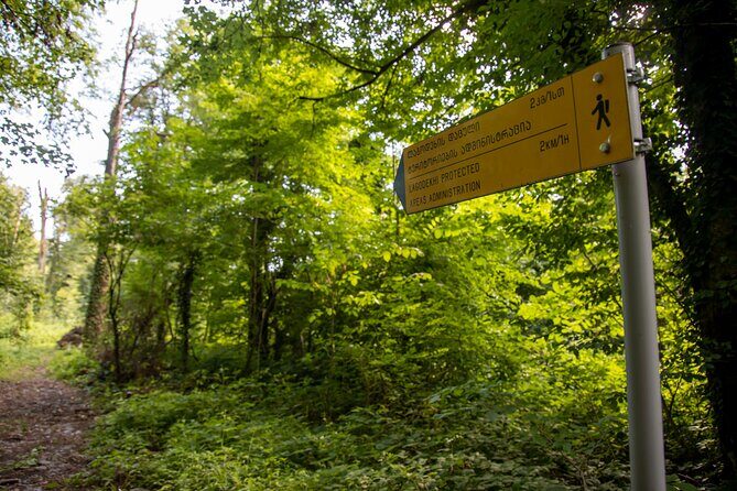 Lagodekhi - A day hiking from Tbilisi - Key Points