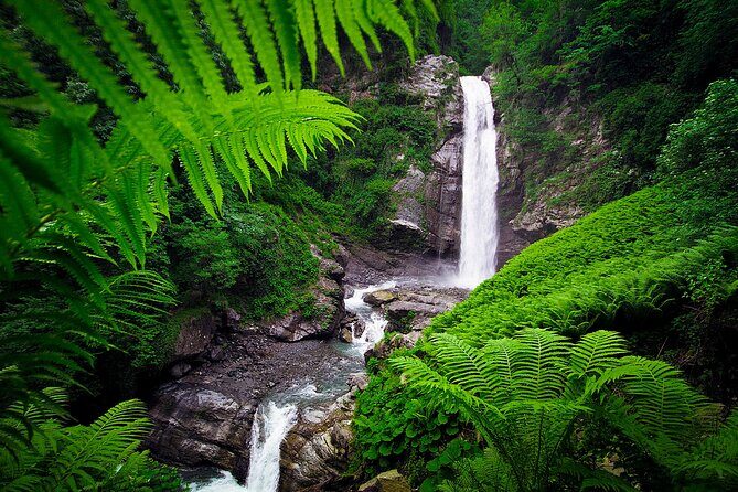 Lagodekhi - A day hiking from Tbilisi - Who Would Love This Tour?