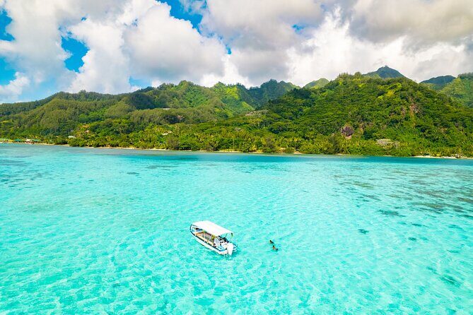 Lagoon and Marine Wildlife Tour in Moorea - Why You Might Like This Tour