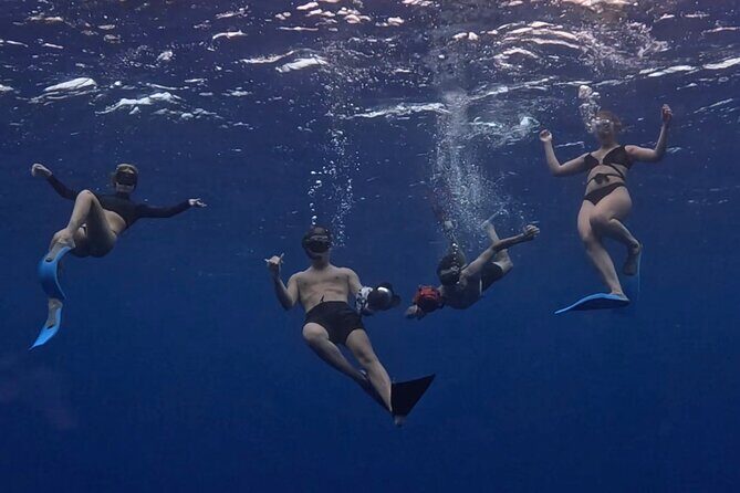 Lagoon and Marine Wildlife Tour in Moorea - The Itinerary in Detail