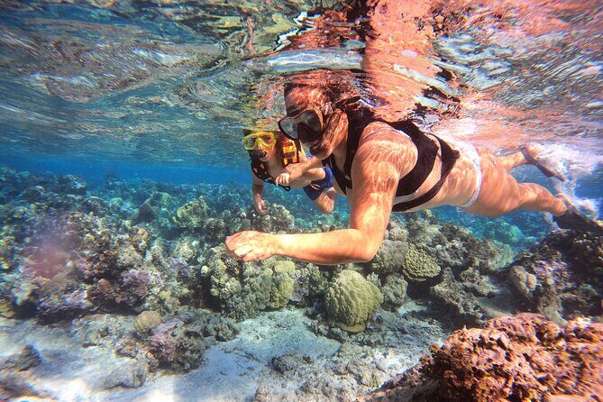 Lagoon and Marine Wildlife Tour in Moorea - The Experience for Families and Solo Travelers
