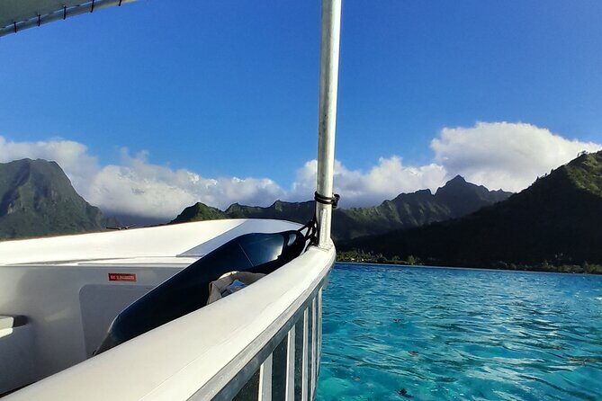 Lagoon Exploration and Snorkeling in Moorea - Who Will Love This Tour?