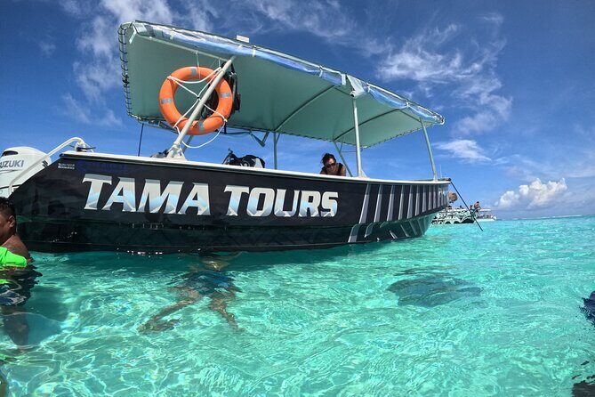 Lagoon Exploration and Snorkeling in Moorea - The Sum Up