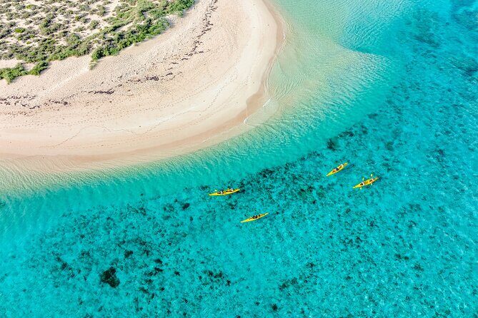 Lagoon Explorer - Ningaloo Reef Full-Day Kayaking and Snorkeling Adventure - A Day in the Life: What to Expect from the Lagoon Explorer Tour