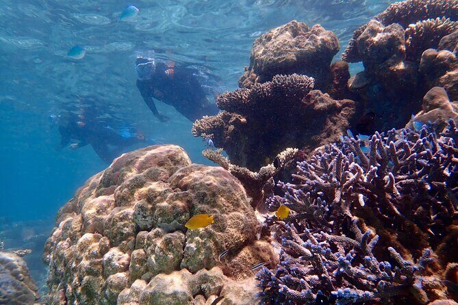 Lagoon Explorer - Ningaloo Reef Full-Day Kayaking and Snorkeling Adventure - Final Thoughts