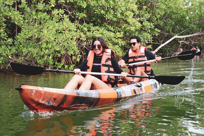 Lagoon Mangrove Tour, Kayaking and Sightseeing from Cancun - What Our Readers Say (Based on Available Reviews)