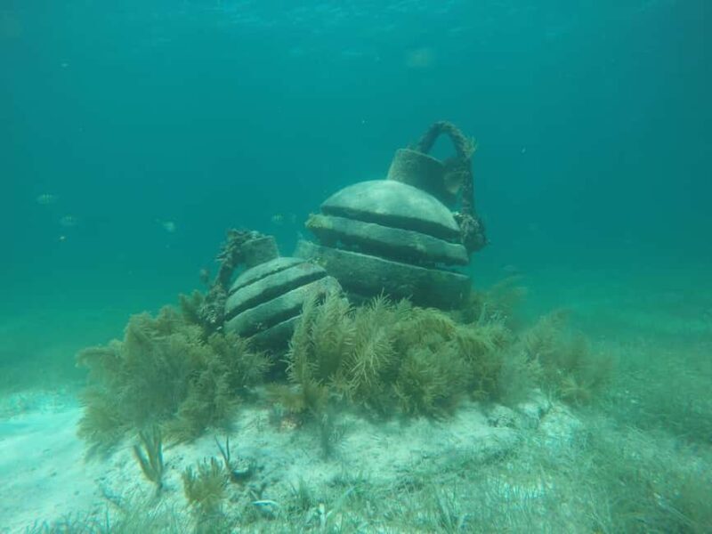 Lagoon ride and snorkeling - Final Thoughts