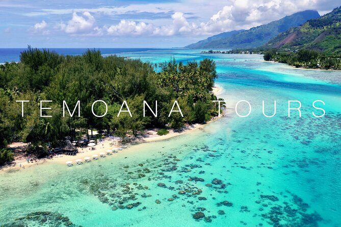 Lagoon Tour + lunch with your feet in the water on a Motu - An In-Depth Look at the Lagoon Tour Experience