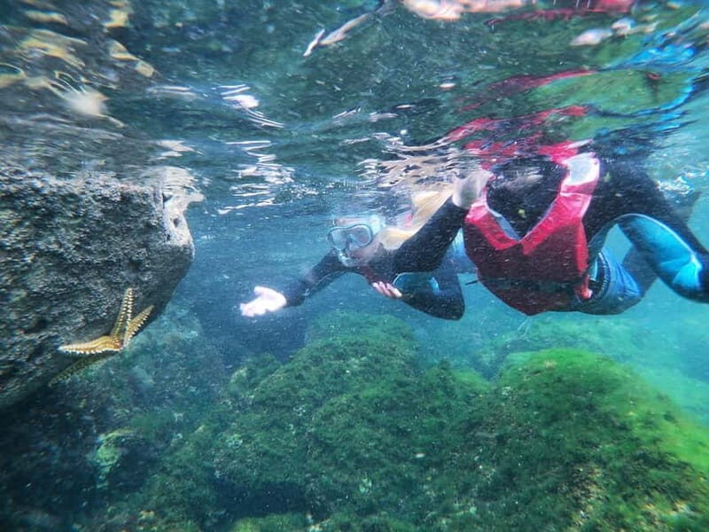 Lagos: Algarve Coasteering and Snorkeling Adventure - Is It Worth the Price?