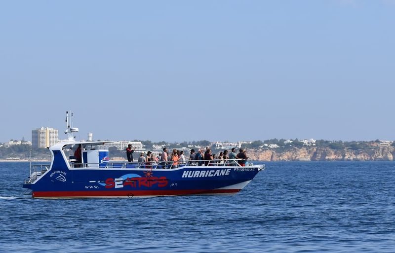 Lagos: Combo Dolphin and Benagil Tour with Marine Biologist - Comfort, Clothing, and Common-Sense Prep