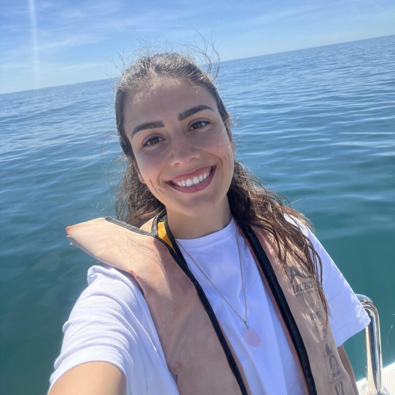 Lagos: Dolphin Watch Tour with Professional Marine Biologist - The Itinerary in Detail